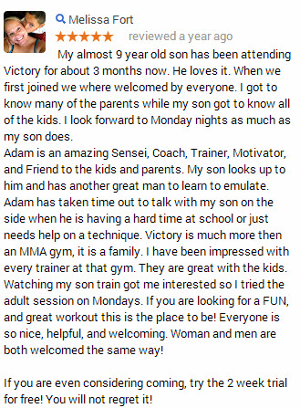 arlington-heights-il-martial-arts-review