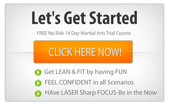 Free Martial Arts for Mount Prospect IL