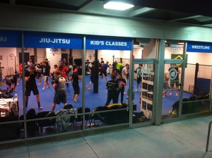 Kickboxing-Forest Park-Naperville-Chicago-Orland Park